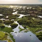 Aerial of the North Pantanal, Brazil