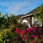 Gardens at Altiplanico Easter Island Hotel