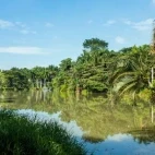 La Babilla Wetland near Cali, Colombia