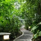 Stone pathway through the rainforest to more Minga Lodge accommodation.