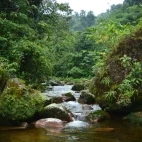 Stream in the Ecuadorian Amazon