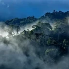 Choco Cloud Forest in Ecuador