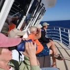 Guests observing wildlife on Safari Voyager, in Mexico.