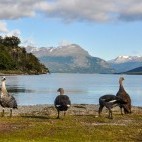 Tierra del Fuego in Argentina