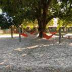 Hammocks at Fazenda Baia das Pedras in the Southern Pantanal, Brazil