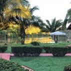 Jaguar Retreat in the Pantanal, Brazil