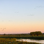 Sunrise in Poso Alegre, the Pantanal, Brazil.