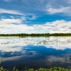 Pantanal Wetland Reserve, Brazil
