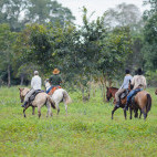 Horseback safari at Pousada Araras Eco Lodge in Brazil.