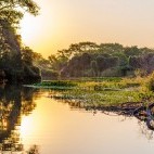 Cuiaba River in the Pantanal, Brazil