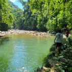 Trail to the harpy eagle nest in Colombia.