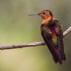 Shining sunbeam in Colombia
