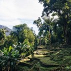 Terraces of the Lost City in Sierra de Santa Marta, Colombia