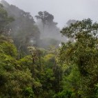 Los Quetzales National Park, Costa Rica