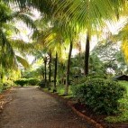 Grounds at La Ensenada Lodge in Costa Rica.