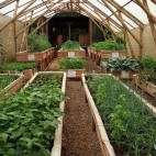 Herb garden at Macaw Lodge, Cerros de Turrubares in Costa Rica