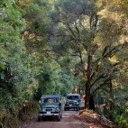 Vehicle safari from Savegre Hotel in Costa Rica