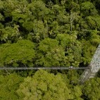 Sacha Lodge in the Ecuadorian Amazon