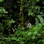 Birdwatching in Ecuador.