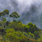 Mashpi Ecological Reserve in Ecuador