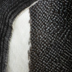 King penguin feathers in the Falkland Islands.