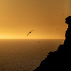 West Point in the Falkland Islands.