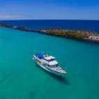 Beluga, Galapagos Islands