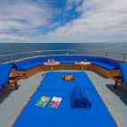 Beluga, Galapagos Islands.