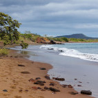 Punta Cormorant in Floreana, the Galapagos Islands.