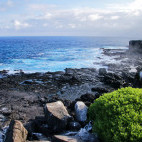 Espanola in the Galapagos Islands