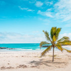 Beach in Isabela, the Galapagos Islands