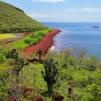 Rabida in the Galapagos