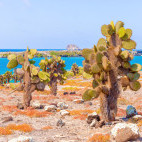 Santa Fe in the Galapagos