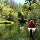 People in a canoe enjoying the peaceful waters of Ichetucknee Springs, Florida.