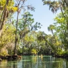 One of the clear waterways of Crystal River, Florida.