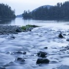 Herring cove in Baranof Island, Alaska