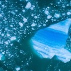 Iceberg from LeConte Glacier in Alaska