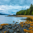 Moresby Island in Haida Gwaii, Canada