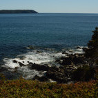 Witless Bay Ecological Reserve in Newfoundland, Canada