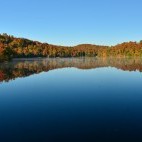 Laurentian forest and lake in autumn