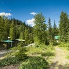 Grizzly Camp in Canada.