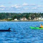 Kayaking in the Bay of Fundy, Canada.