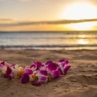 Lei in Hawaii