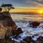 Lone Cypress in Monterey Bay, California, USA