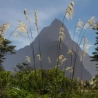 View of Mitre Peak in New Zealand.