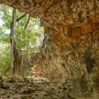 A lava tube in Undara National Park, Australia