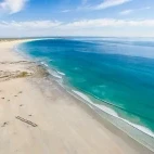 Camels at Cable Beach in Broome, Australia