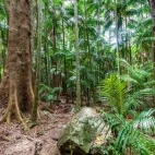 A walking path accessible from Chambers Wildlife Lodge, Australia.