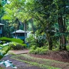 Exterior view of Ferntree Rainforest Lodge, Queensland