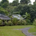 Exterior view of Ferntree Rainforest Lodge, Queensland